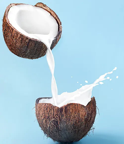 Coconut Milk