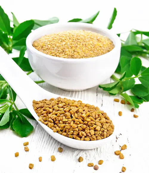 Methi Dana